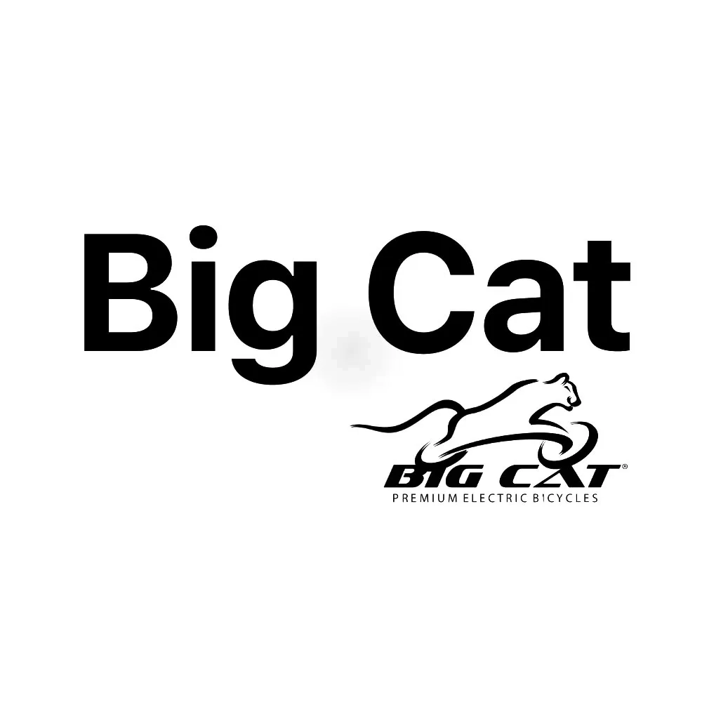 imgi_6_Email-Marketing-5_19e0b39c-ab54-40f1-bd48-b6c9e96e6d41_0086_imgi_16_18_04df7ee7-52cd-44e0-ac59-68022508f135.webp